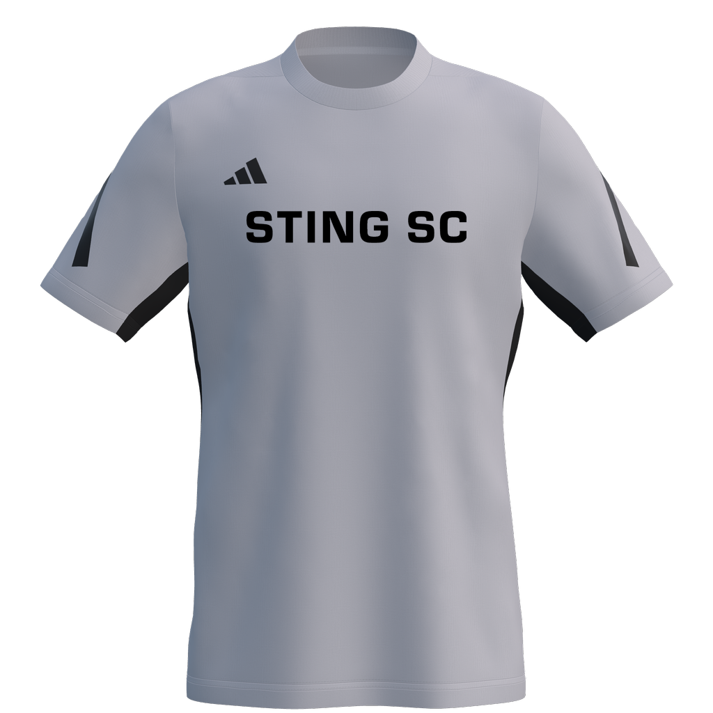 Sting Custom ZNE Tee Grey | Coach – front view