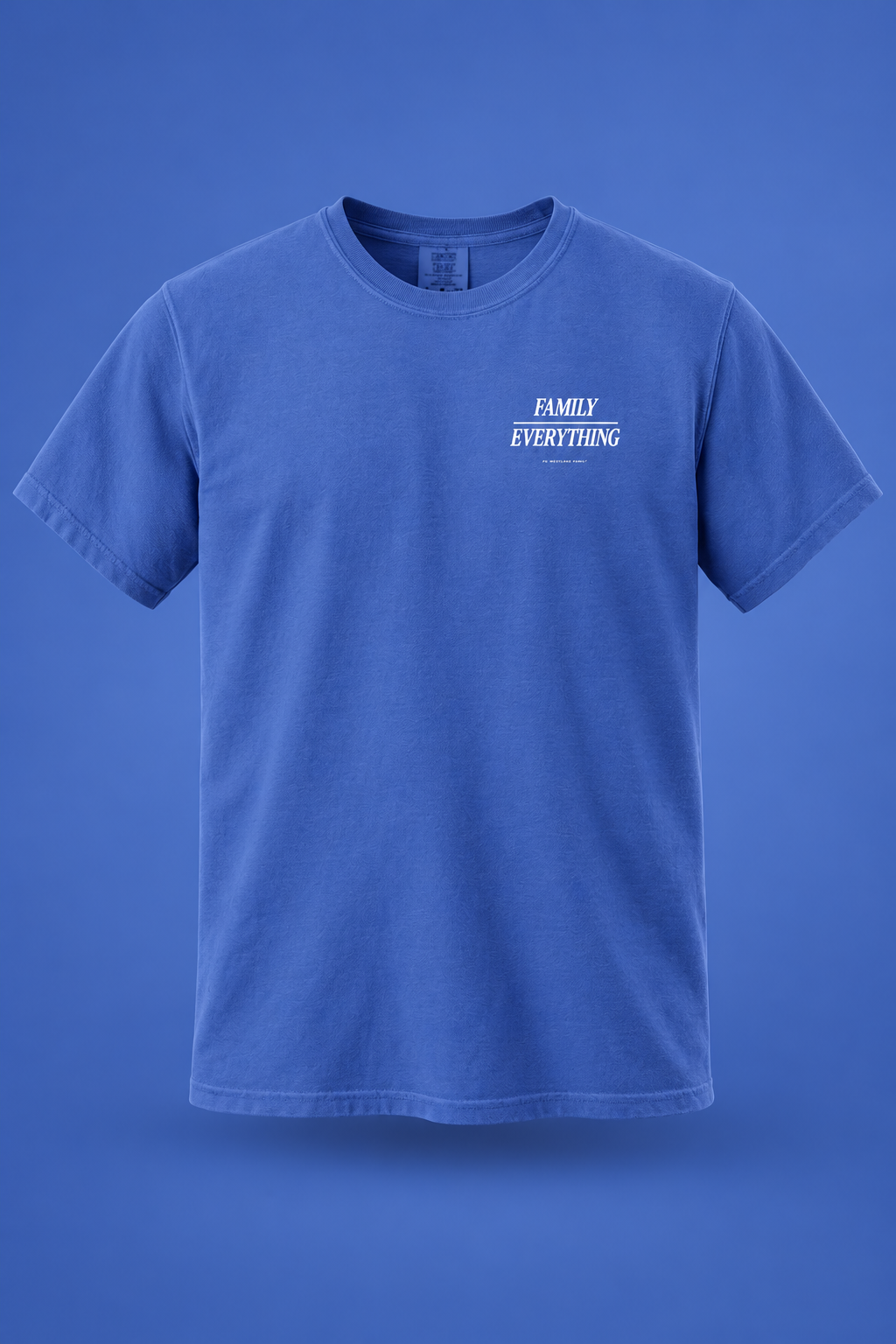 FCW ATX Event | Family Flo Blue Unisex Garment-Dyed Heavyweight T-Shirt – front view